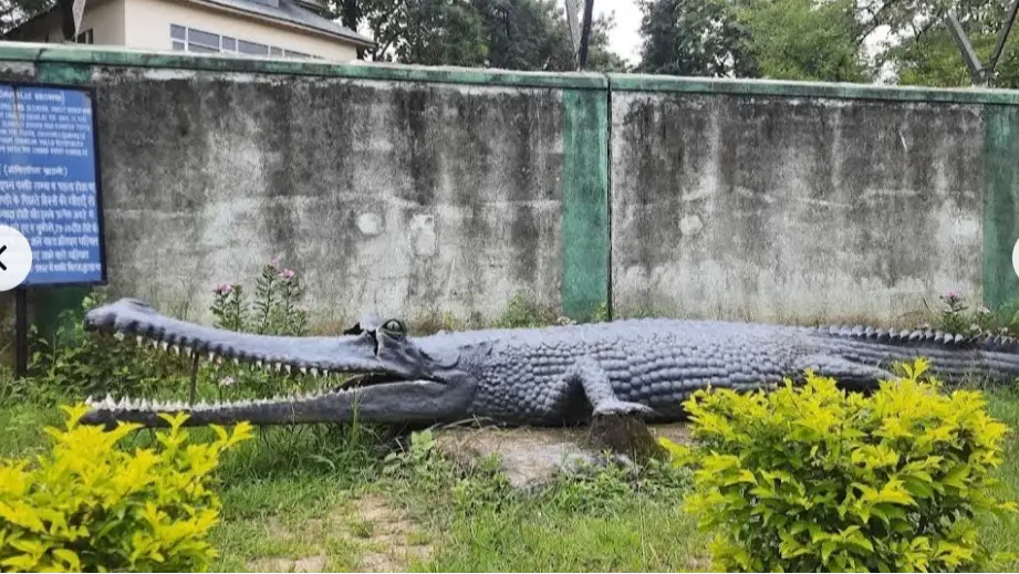 Suketi Fossil Park